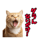 富山弁☆にゃんこ.（個別スタンプ：16）