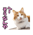 富山弁☆にゃんこ.（個別スタンプ：26）