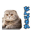 富山弁☆にゃんこ.（個別スタンプ：34）