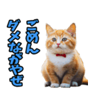 富山弁☆にゃんこ.（個別スタンプ：36）