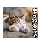 富山弁☆にゃんこ.（個別スタンプ：40）