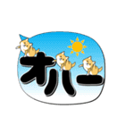 激しく尻尾をふる柴犬【でか文字篇】（個別スタンプ：9）