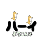 激しく尻尾をふる柴犬【でか文字篇】（個別スタンプ：10）