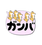 激しく尻尾をふる柴犬【でか文字篇】（個別スタンプ：15）