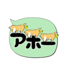 激しく尻尾をふる柴犬【でか文字篇】（個別スタンプ：19）