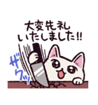 社会舐め腐りネコ（個別スタンプ：14）