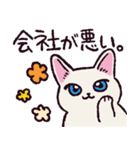 社会舐め腐りネコ（個別スタンプ：28）