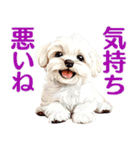 言いにくい事を犬で伝えるスタンプ2（個別スタンプ：10）