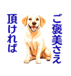言いにくい事を犬で伝えるスタンプ2（個別スタンプ：12）
