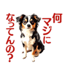 言いにくい事を犬で伝えるスタンプ2（個別スタンプ：16）