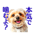 言いにくい事を犬で伝えるスタンプ2（個別スタンプ：21）