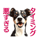 言いにくい事を犬で伝えるスタンプ2（個別スタンプ：36）