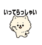 毎日使う連絡・約束・日常語 ポメラニアン（個別スタンプ：2）