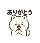 毎日使う連絡・約束・日常語 ポメラニアン（個別スタンプ：5）