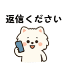 毎日使う連絡・約束・日常語 ポメラニアン（個別スタンプ：6）