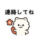 毎日使う連絡・約束・日常語 ポメラニアン（個別スタンプ：7）