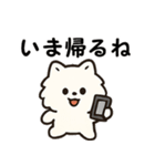毎日使う連絡・約束・日常語 ポメラニアン（個別スタンプ：9）