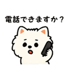 毎日使う連絡・約束・日常語 ポメラニアン（個別スタンプ：13）