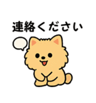 毎日使う連絡・約束・日常語 ポメラニアン（個別スタンプ：14）