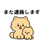 毎日使う連絡・約束・日常語 ポメラニアン（個別スタンプ：15）