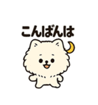 毎日使う連絡・約束・日常語 ポメラニアン（個別スタンプ：17）