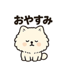 毎日使う連絡・約束・日常語 ポメラニアン（個別スタンプ：19）