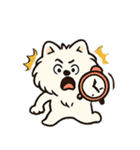 毎日使う連絡・約束・日常語 ポメラニアン（個別スタンプ：20）