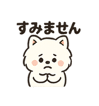 毎日使う連絡・約束・日常語 ポメラニアン（個別スタンプ：26）