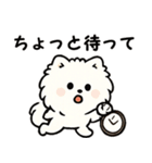 毎日使う連絡・約束・日常語 ポメラニアン（個別スタンプ：29）