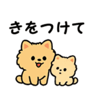 毎日使う連絡・約束・日常語 ポメラニアン（個別スタンプ：30）