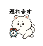 毎日使う連絡・約束・日常語 ポメラニアン（個別スタンプ：31）