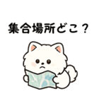 毎日使う連絡・約束・日常語 ポメラニアン（個別スタンプ：32）