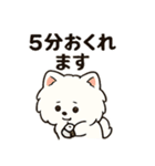 毎日使う連絡・約束・日常語 ポメラニアン（個別スタンプ：34）
