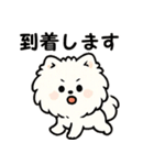 毎日使う連絡・約束・日常語 ポメラニアン（個別スタンプ：37）