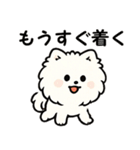 毎日使う連絡・約束・日常語 ポメラニアン（個別スタンプ：38）