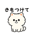 毎日使う連絡・約束・日常語 ポメラニアン（個別スタンプ：39）