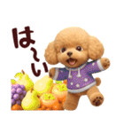 【秋冬】ずっと使える❤️日常会話 トイプー（個別スタンプ：3）