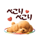 【秋冬】ずっと使える❤️日常会話 トイプー（個別スタンプ：4）