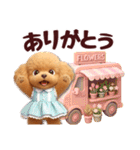 【秋冬】ずっと使える❤️日常会話 トイプー（個別スタンプ：5）