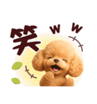 【秋冬】ずっと使える❤️日常会話 トイプー（個別スタンプ：8）