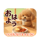 【秋冬】ずっと使える❤️日常会話 トイプー（個別スタンプ：15）