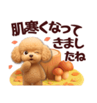 【秋冬】ずっと使える❤️日常会話 トイプー（個別スタンプ：21）