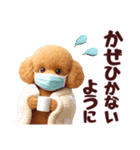 【秋冬】ずっと使える❤️日常会話 トイプー（個別スタンプ：22）