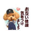 【秋冬】ずっと使える❤️日常会話 トイプー（個別スタンプ：24）