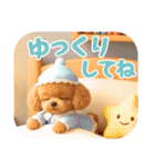 【秋冬】ずっと使える❤️日常会話 トイプー（個別スタンプ：28）