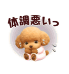 【秋冬】ずっと使える❤️日常会話 トイプー（個別スタンプ：33）