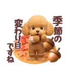 【秋冬】ずっと使える❤️日常会話 トイプー（個別スタンプ：34）