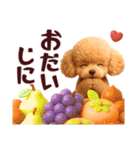 【秋冬】ずっと使える❤️日常会話 トイプー（個別スタンプ：35）