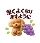 【秋冬】ずっと使える❤️日常会話 トイプー（個別スタンプ：36）