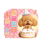 【秋冬】ずっと使える❤️日常会話 トイプー（個別スタンプ：38）